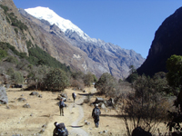 Langtang