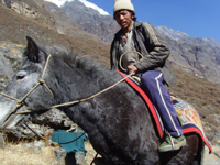 Langtang