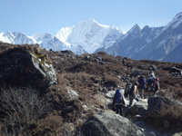 Langtang