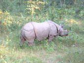 Nepal - India