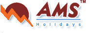 AMS logo